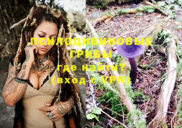 молекула духа Няндома