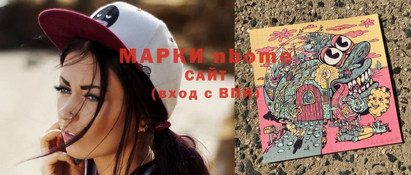 2c-b Новозыбков