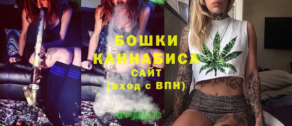 крисы Гусь-Хрустальный