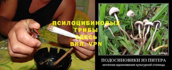 гашик Волосово
