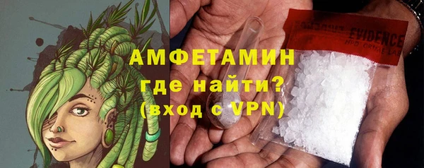 молекула духа Няндома