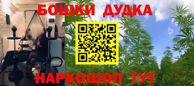 прущие грибы Апшеронск