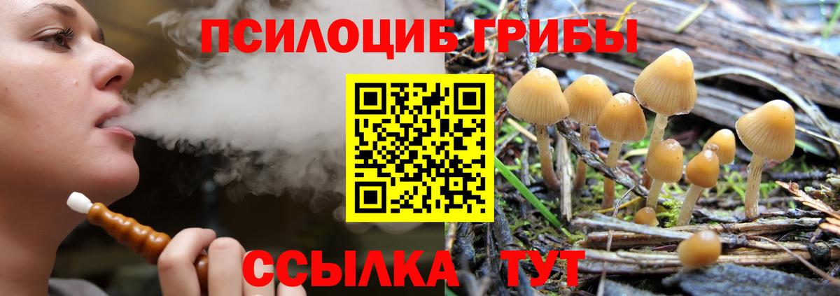 Псилоцибиновые грибы ЛСД  Галлюциногенные грибы мицелий  Вход с VPN  Аргун 